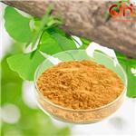 Ginkgo Biloba Extract