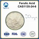 Ferulic Acid;Ferulic acid powder