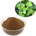 IVY extract