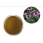 Echinacea Purpurea Extract