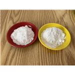 Methandrostenolone Dianabol powder