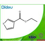 Ethyl thiophene-3-carboxylate 