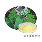 489-32-7 Epimedium Extract(Horny Goat Weed Extract)