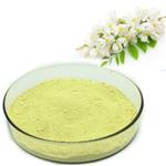 Genistein powder  50-98%Sophora Japonica Extract