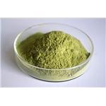 Spinach Powder