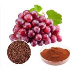 Grape Seed Extract