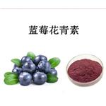 Blueberry Extract