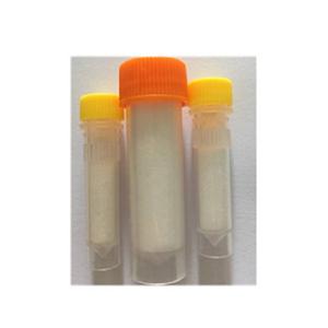 DIPEPTIDE DIAMINOBUTYROYL BENZYLAMIDE DIACETATE