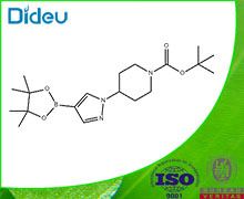 tert-Butyl 4-[4-(4,4,5,5-tetramethyl-1,3,2-dioxaborolan-2-yl)-1H-pyrazol-1-yl]piperidine-1-carboxylate 