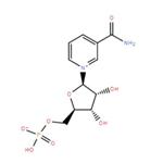 beta-Nicotinamide mononucleotide 