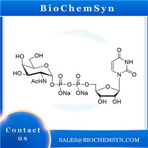 UDP-GalNAc; UDP-N-acetylgalactosamine; Uridine 5'-diphospho-D-N-acetylgalactosamine disodium salt