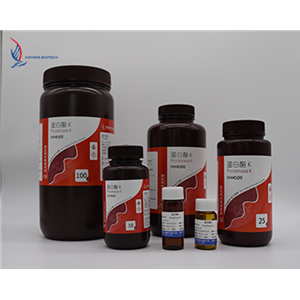 Proteinase K (lyophilized powder)