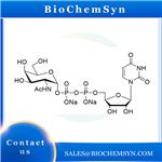 UDP-N-acetylgalactosamine; Uridine 5'-diphospho-D-N-acetylgalactosamine disodium salt