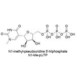 N1-Me-pUTP, 0.1M solution (Li or Na salt)