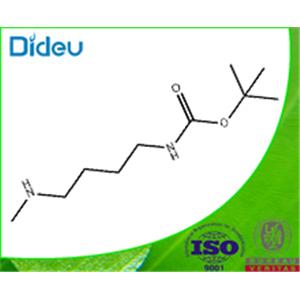 tert-Butyl 4-(methylamino)butylcarbamate 