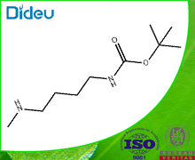 tert-Butyl 4-(methylamino)butylcarbamate 