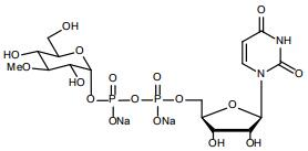 UDP-3-methyl-Glucose.2Na