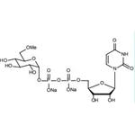 UDP-6-Methyl-6-deoxy-D-Glc.2Na