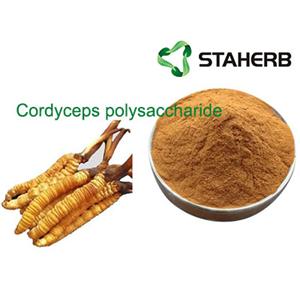 Cordyceps polysaccharide