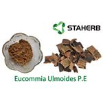 Eucommia Ulmoides P.E