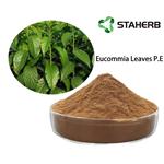 Eucommia Leaves P.E