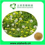 Dandelion Extract