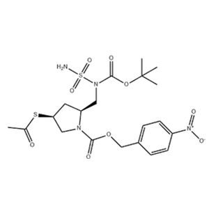 ACS-PNZ-PYRROLIDYL-(BOC)-NSO2NH2