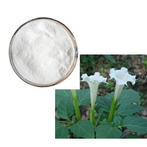 Scopolamine hydrobromide; Flos?daturae extract