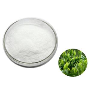 Green Tea Extract; (-)-Epigallocatechin gallate EGCG