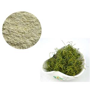 GYNOSTEMMA PLANT EXTRACT；GYPENOSIDES 