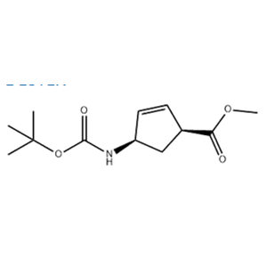  (1S,4R)-Methyl 4-((tert-butoxycarbonyl)amino)cyclopent-2-enecarboxylate