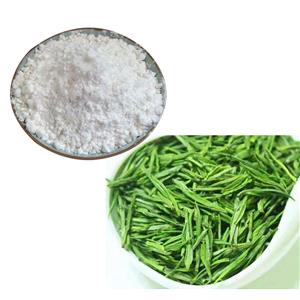 (-)-EPICATECHIN(EC); Green tea extract