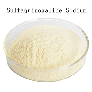 Sulfaquinoxaline Sodium