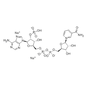 NADP, Disodium Salt