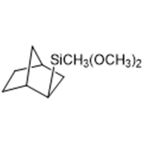 2-(dimethoxymethylsilyl)-bicyclo[2,2,1]heptanes