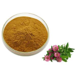 Trifolirhizin; Trifolium Pratense extract