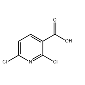 2,6-Dichloronicotinic acid