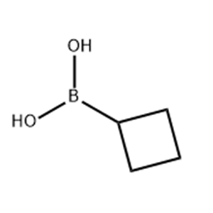 CYCLOBUTYLBORONIC ACID