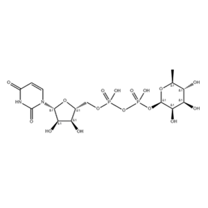 UDP-rhamnose