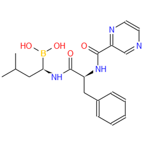 Bortezomib