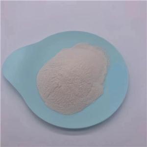 Acetyl-L-Carnitine Hydrochloride