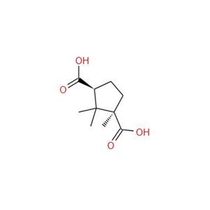 D-(+)-Camphoric acid