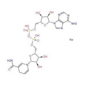 beta-Nicotinamide adenine dinucleotide disodium salt