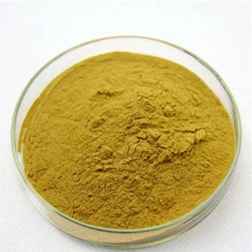 Loquat Leaf Extract