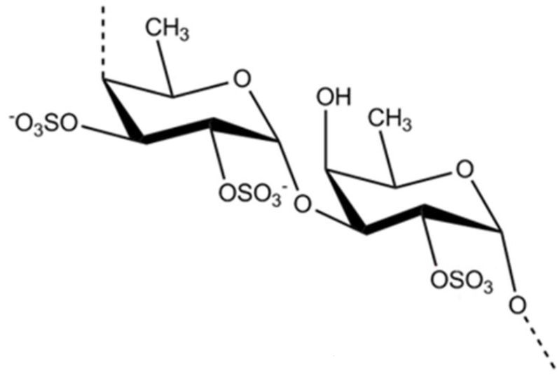 Fucoidan