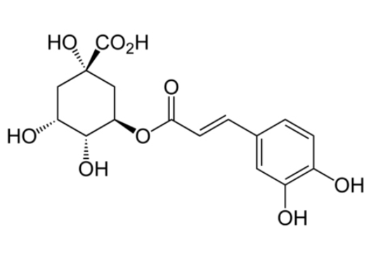 Chlorgenic Acid