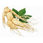 (20S)-Protopanaxatriol APPT；Panax Ginseng extract 