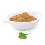 Ginkgo biloba extract