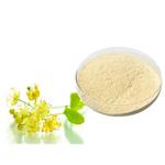 Tilia Flower Extract