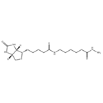 BIOTINAMIDOCAPROYL HYDRAZIDE